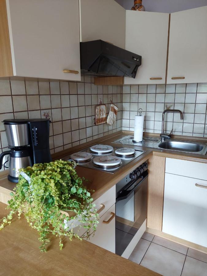 Ferienwohnung Meissner บาด โรดัค ภายนอก รูปภาพ