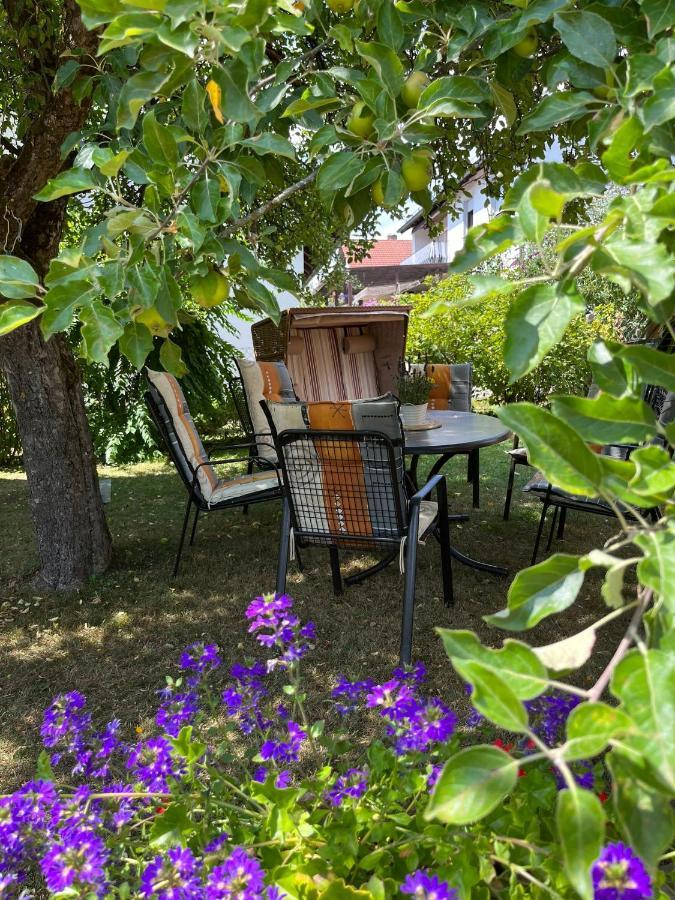 Ferienwohnung Meissner บาด โรดัค ภายนอก รูปภาพ